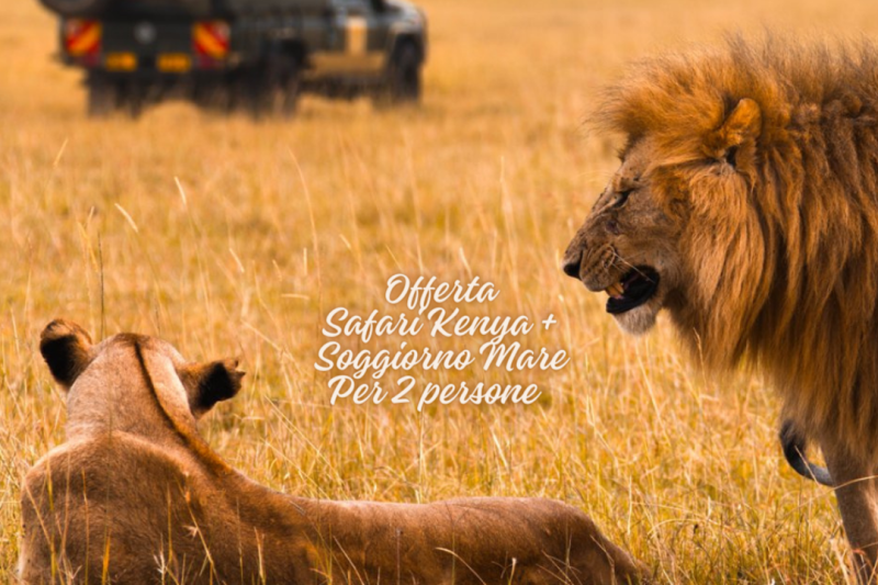SAFARI KENYA+MARE